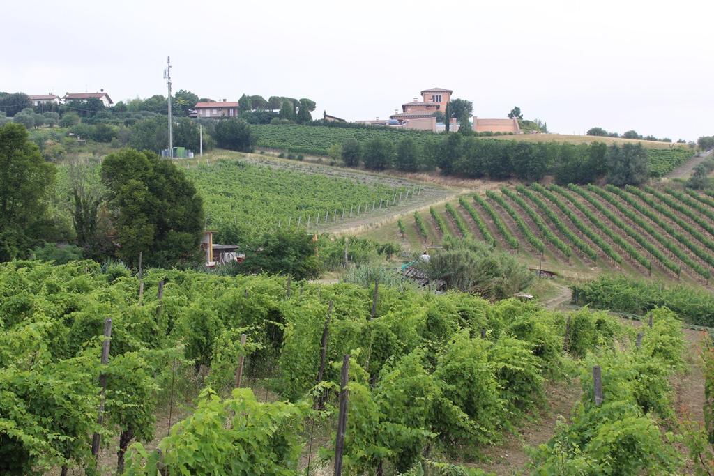 فيلا Agriturismo 7 Colonne بيرتينورو المظهر الخارجي الصورة