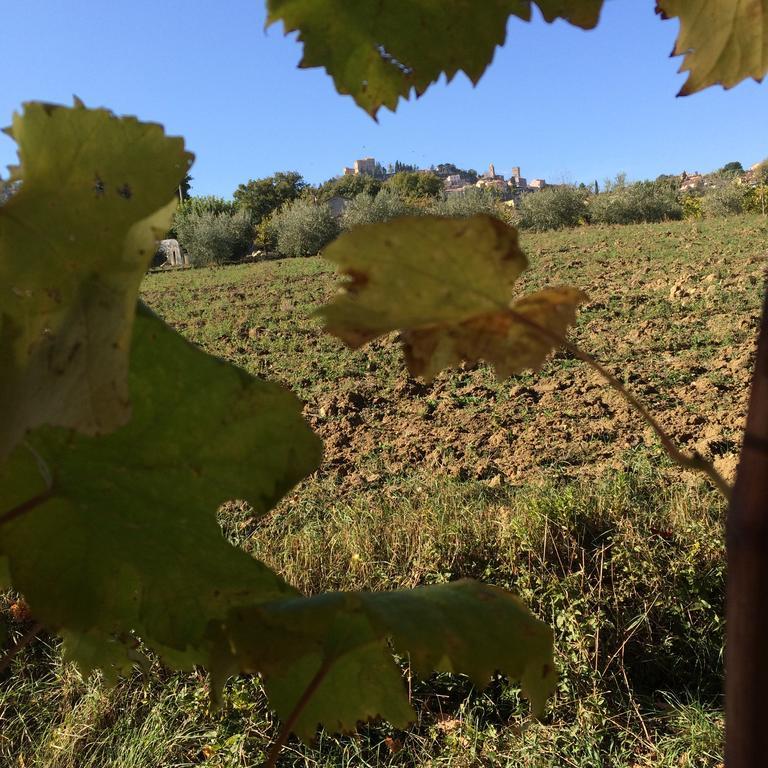 فيلا Agriturismo 7 Colonne بيرتينورو المظهر الخارجي الصورة
